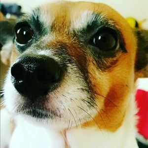 Meet your Posher, Betty